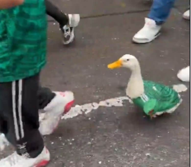 bebek jersey Meksiko viral