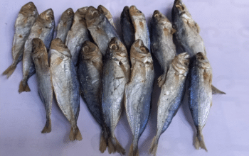 ikan asin