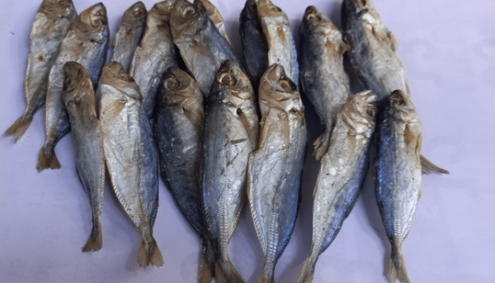 HATI-HATI! 4 Jenis Ikan Ini Bisa Tingkatkan Risiko Kanker Jika Salah Mengolah, Wajib Batasi!