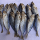 HATI-HATI! 4 Jenis Ikan Ini Bisa Tingkatkan Risiko Kanker Jika Salah Mengolah, Wajib Batasi!