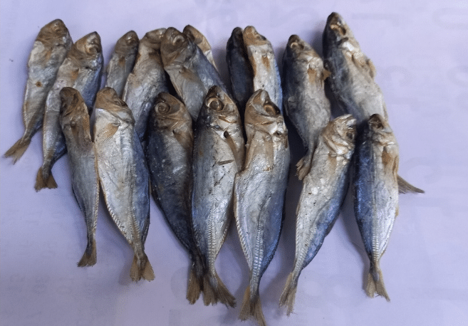 ikan asin