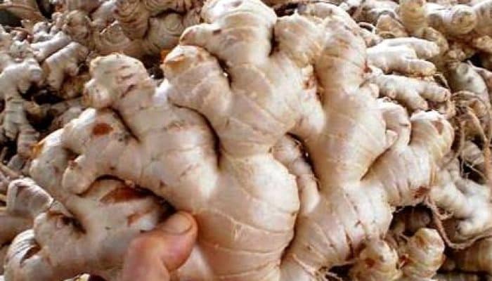 5 Manfaat Jahe untuk Kesehatan Tubuh dan Cara Mengonsumsinya dengan Tepat