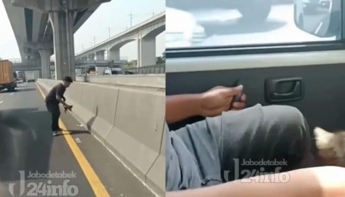 Heroik! Sopir dan Kernet Truk Selamatkan Anak Kucing dari Tengah Tol Cikampek