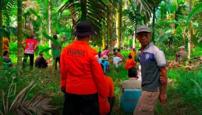 3 Hari Tersesat di Hutan Mentawai, Lansia Ini Ditemukan Selamat Berkat Aksi Heroik Tim SAR!