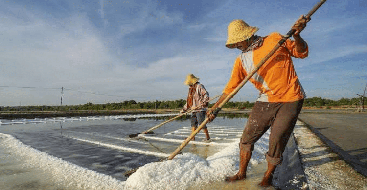 Impor Garam Industri Naik