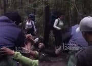Alami Kram Kaki, Pendaki Berbobot 140 Kg Dievakuasi  dari Gunung Gede Pangrango