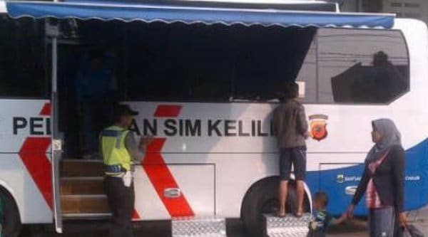 simbekasiz