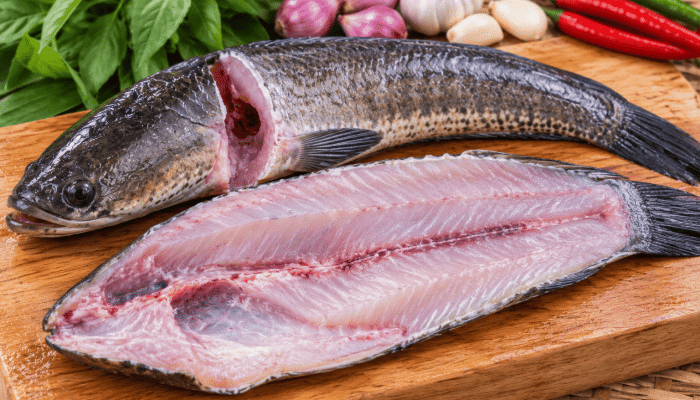 Bau Amis Ikan Tak Hilang Cuma Dicuci? Ini Cara Ampuh Membersihkannya Sebelum Dimasak