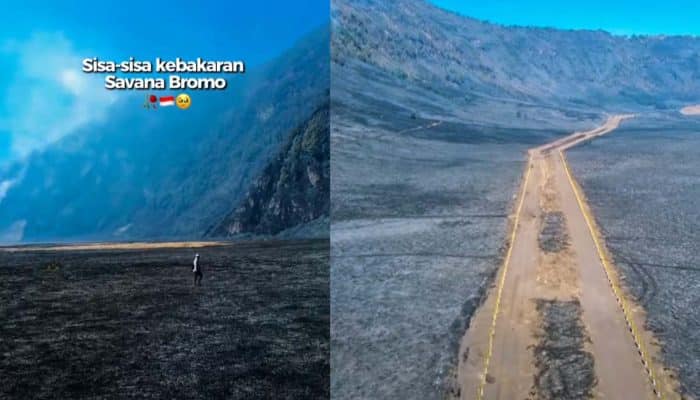 Setelah Kebakaran Hebat Savana Bromo Menghitam, Kebakaran Masih Terjadi Mencapai 942 Hektare