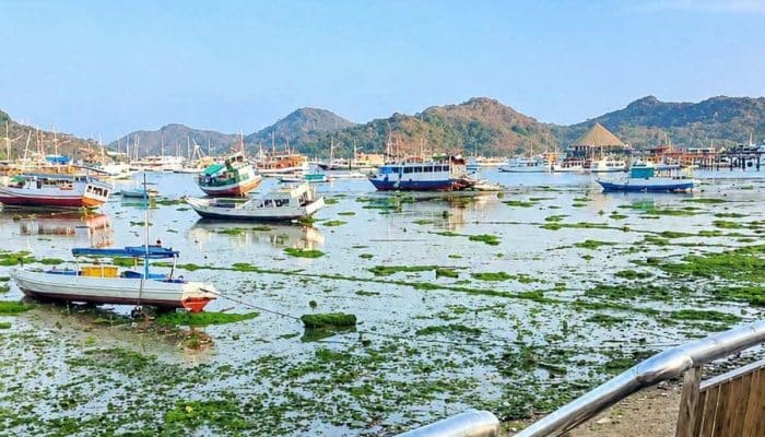 Fenomena Air Laut Mengering di Perairan Labuan Bajo Pasca Gempa Magnitudo 7,7 di Pulau Flores NTT