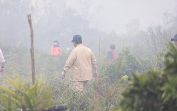 Polri Tetapkan 245 Tersangka Karhutla, Luas Lahan Terbakar 5.859,12 Hektar 3 Presiden Prabowo