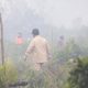 Polri Tetapkan 245 Tersangka Karhutla, Luas Lahan Terbakar 5.859,12 Hektar