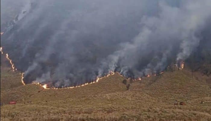 kebakaran bromo 3