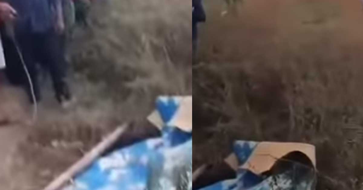 pelaku mutilasi