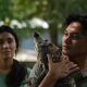 Nonton Crocodile Tears di Netflix