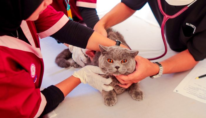 World Rabies Day 2026 di Bogor, Vaksinasi Rabies Digelar