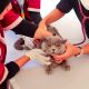World Rabies Day 2026 di Bogor