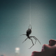 Sinopsis Crawlers, Teror Laba-Laba Mematikan Menginvasi Apartemen