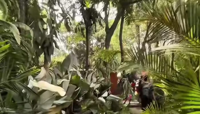 Ayo Saksikan Gratis! Pameran Flora dan Fauna 2026 di Lapangan Banteng Hadir Hingga 28 September 2 WhatsApp Image 2026 09 01 at 20.57.40