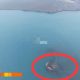 daratan baru di sekitar Anak Krakatau