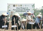 Kedelai Jadi Andalan Baru Bogor? Gerakan Tanam Dimulai di Cariu