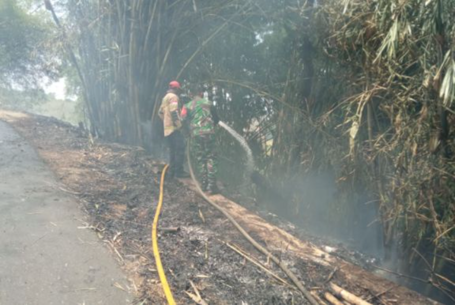 Kebakaran kebun bambu