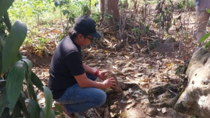 Batu Yoni Situs Pocangan Jember Hilang