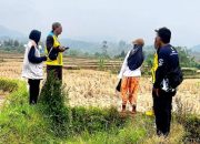 Tragedi 42 Hektare Sawah Puso di Garut: Menyingkap Krisis Infrastruktur Irigasi dan Ancaman Ketahanan Pangan