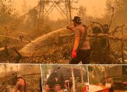 Satbrimob Polda Kalteng Gunakan Cairan X-Fire untuk Padamkan Karhutla di Sebangau