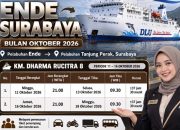 Jadwal Keberangkatan Kapal DLU dari Ende ke Surabaya 11 dan 16 Oktober 2026 Via KM Dharma Rucitra 8